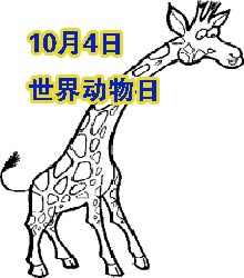世界动物日