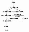 糖无氧酵解