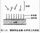 非极性基团