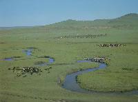 西乌珠穆沁草原