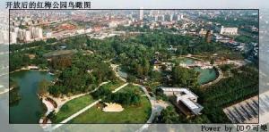 红梅公园