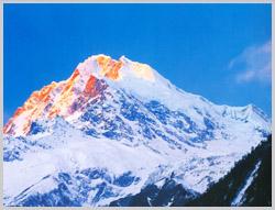 海螺沟冰川森林公园