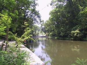 格氏栲自然保护区
