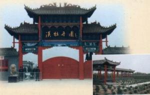 柏乡汉牡丹园