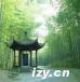 新西湖十景之云栖竹径