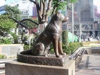 忠犬八公