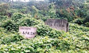 马步龙越窑遗址