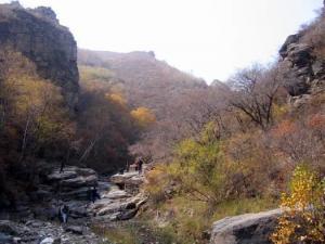 哈达门高原牧场