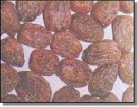 金黄蜜枣
