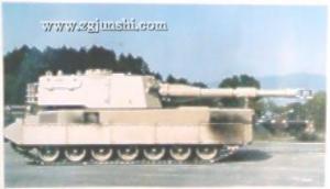 “帕尔玛利亚”155毫米自行榴弹炮