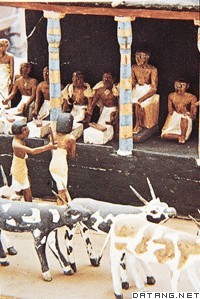 从壁画中可以看到当时文明及生产发展盛况