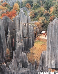 石林景观