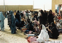 努瓦克肖特的阿拉伯市场