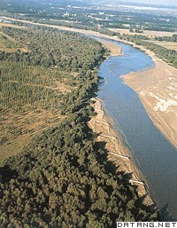 绵延不断的巴彦淖尔盟防护林带