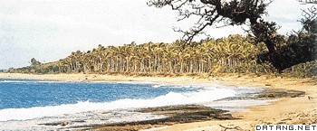 图瓦卢海滨风光