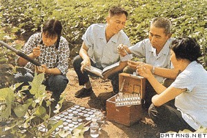 测试棉田土壤化学成分