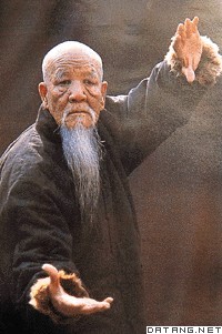 武术中的龙形掌拳术表演