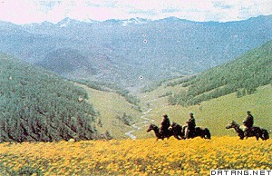中国西北地区的山地植物