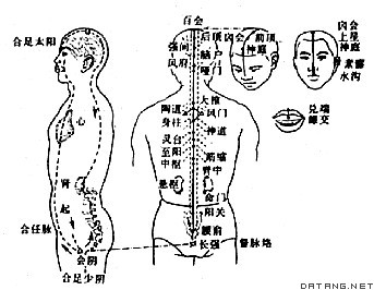 督脉循行线路图