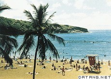 火奴鲁鲁海滨游泳场